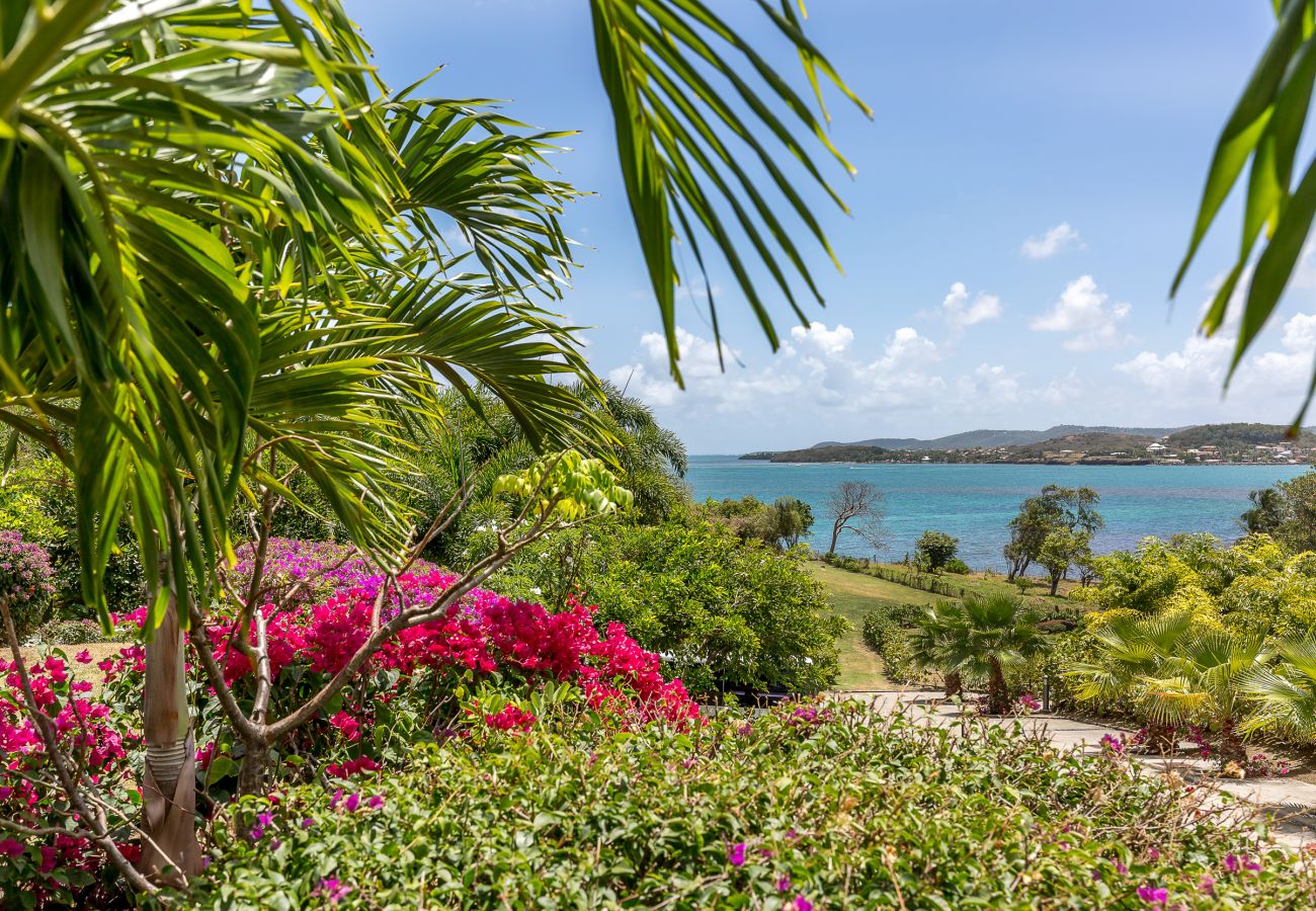 Villa in Le Vauclin - PALM VILLAS / Villa Queen