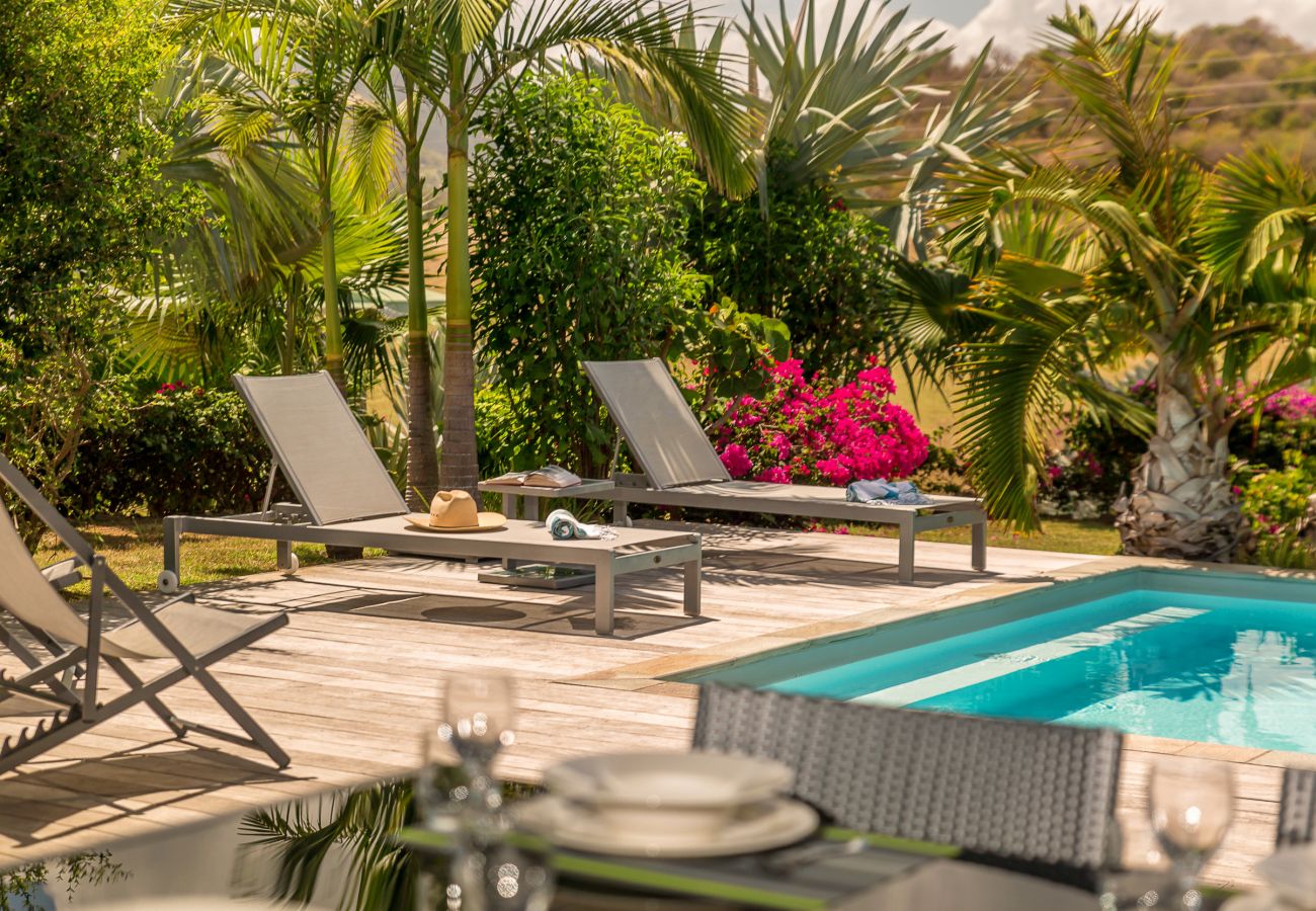 Villa in Le Vauclin - PALM VILLA / Villa Silver