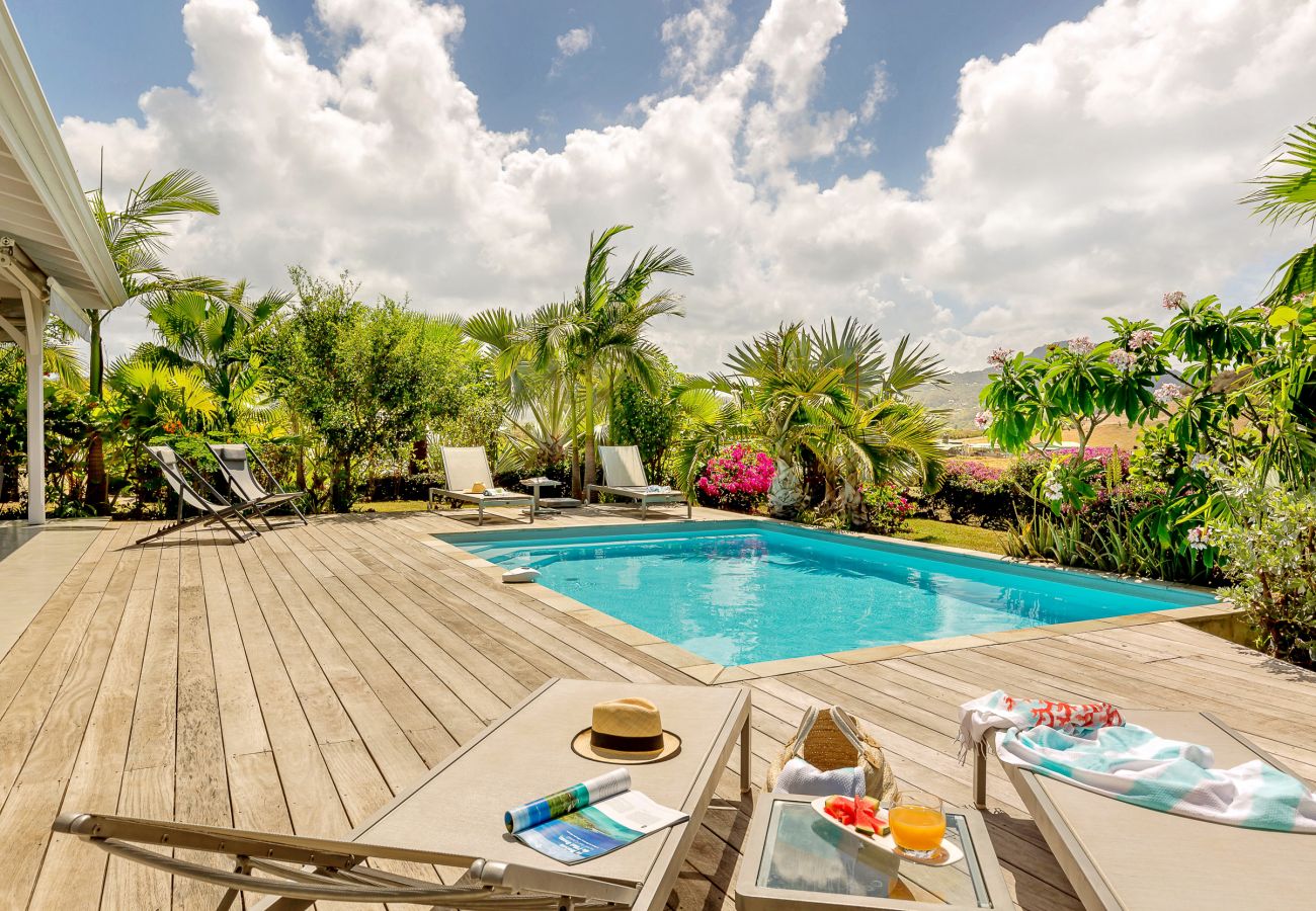 Villa in Le Vauclin - PALM VILLA / Villa Silver