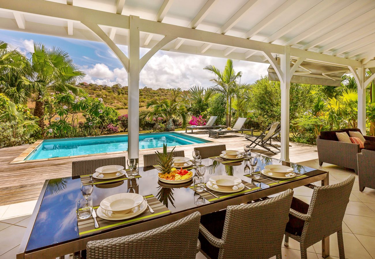 Villa in Le Vauclin - PALM VILLA / Villa Blue