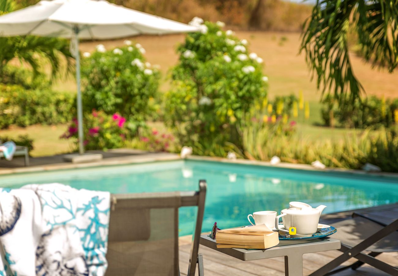 Villa in Le Vauclin - PALM VILLA / Villa Blue