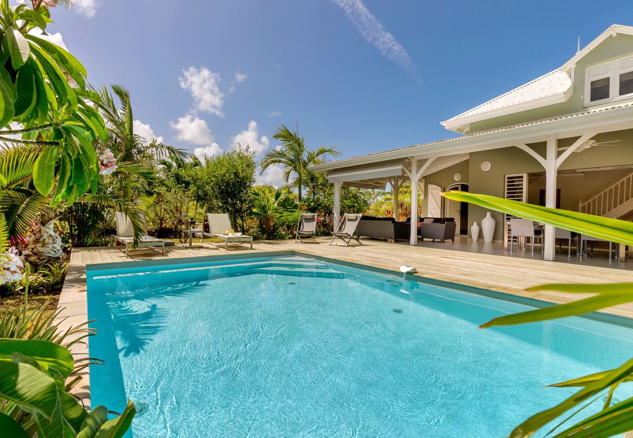 Villa in Le Vauclin - PALM VILLAS / Villa Lady