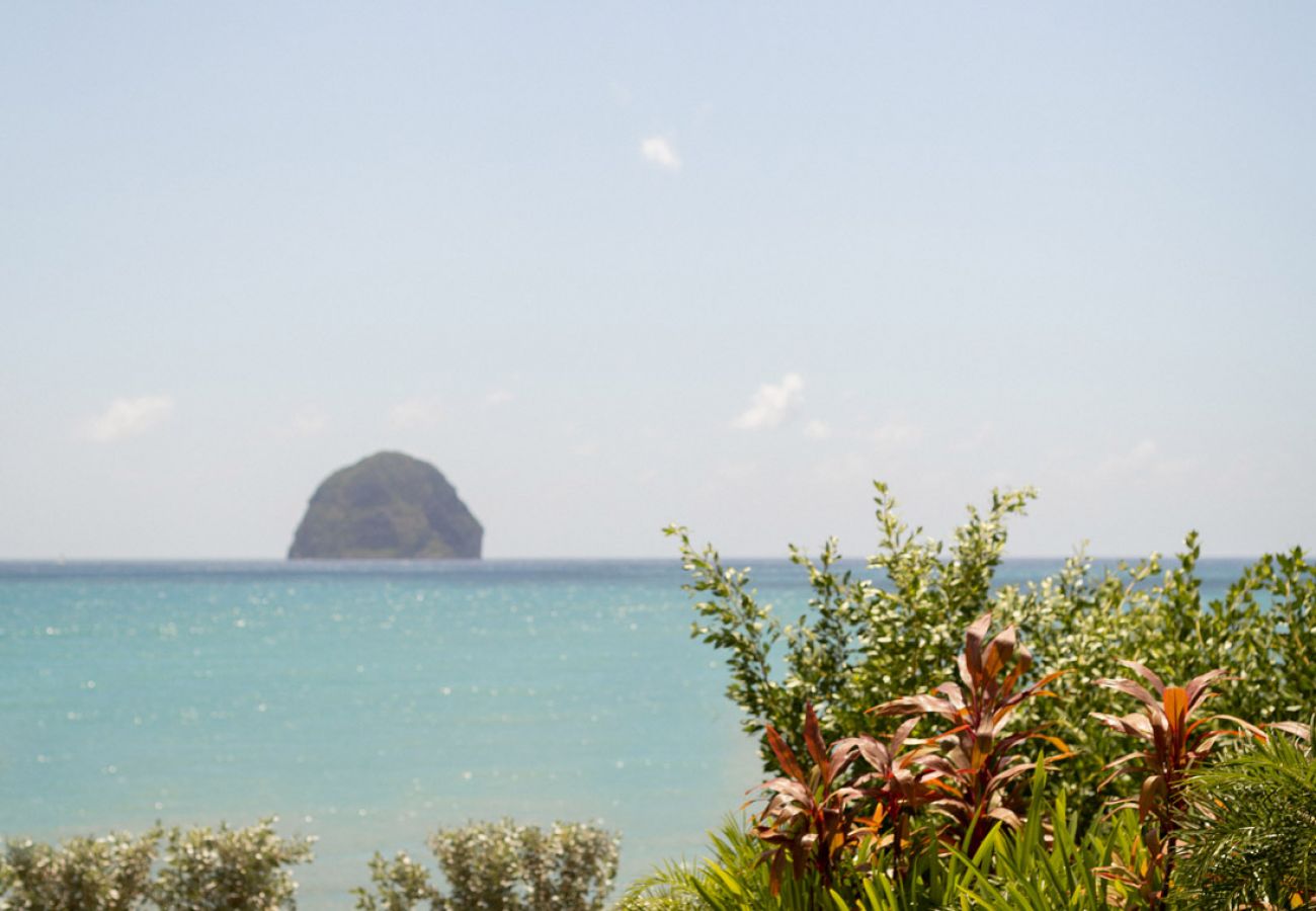 Villa in Le Diamant - EDEN ROC VILLAS 1 / Villa Cullinan