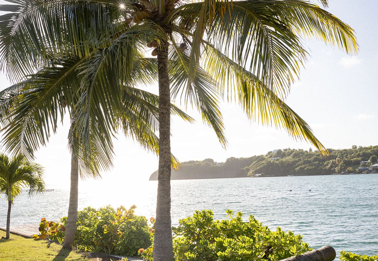 Villa in Le François - Villa Eden Cap