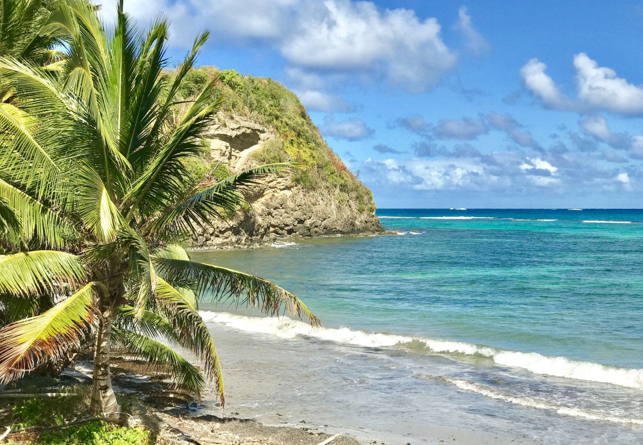 Villa à Le Vauclin - PALM VILLAS / Villa Lady