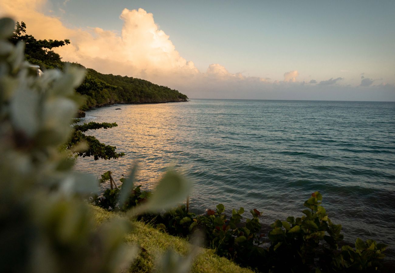 Villa à Le Diamant - EDEN ROC VILLAS 8 / Villa Koh-I-noor